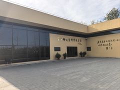 -中国宋庆龄青少年科技文化交流中心
