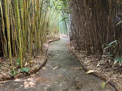 -竹泉村旅游度假区