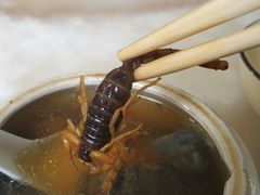 -国英炖品店(甲子路店)