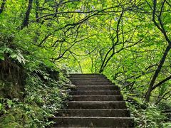 -华蓥山天意谷景区