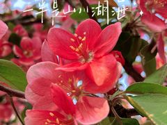 -五道营胡同