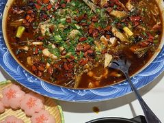 -新概念来凤鱼(璧山店)