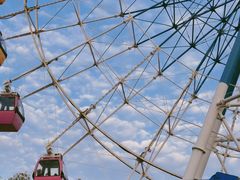 -巨鹏飞梦幻海岸