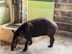 -石家庄市动物园