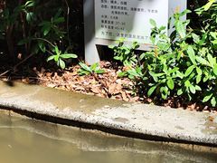 -林丰温泉度假山庄
