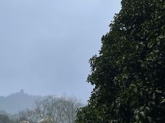-青城山