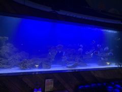 -暹罗酒肆泰餐厅酒吧