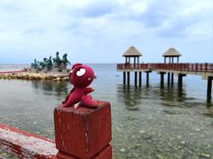 -养马岛旅游度假区