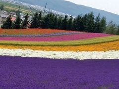 android_upload_pic-富田农场