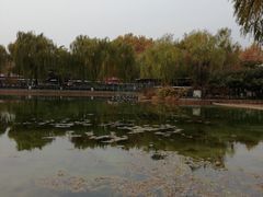 -康庄公园