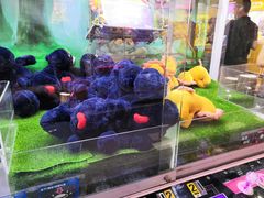 -爱玩嘉年华(江北一店)