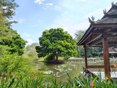 -中国科学院西双版纳热带植物园