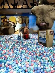 -卡通尼·Safari非洲探索乐园·生日会(金桥国际商业广场店)