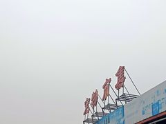 -中环花鸟鱼虫市场