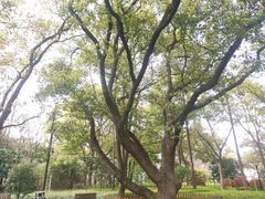 -徐家汇源景区-衡山公园