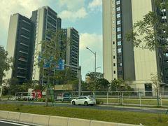 -麻蒲碳烤肉(远景路1号店)