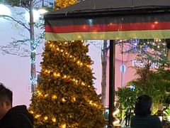 -haxnbauer海森堡德国餐厅(深圳coco店)