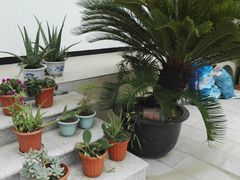 -喜洋洋蟹庄(阳澄湖店)