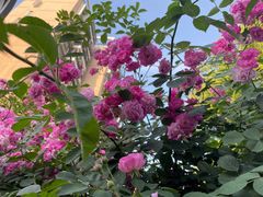 -四里河滨水生态公园