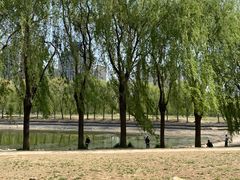 -东坝千亩湖公园