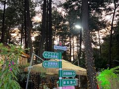 -小小饭店·休闲农庄·安吉松树林里的农家菜