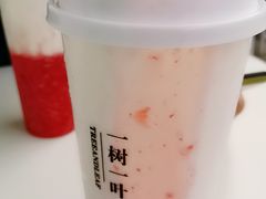 -一树一叶·福建茶档(石鼓路店)