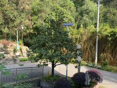 -南山植物园