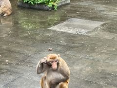 -千岛湖东南湖区