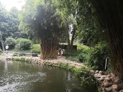 -成都市活水公园