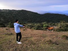 -大姆山草场