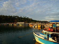 -尼甘布海鲜市场