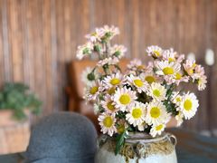 -翠田Green Field Kitchen