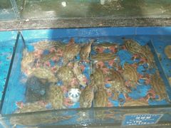 android_upload_pic-老东营·东营菜(西四路店)