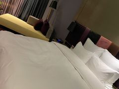 -南京禄口机场雅高铂尔曼大酒店