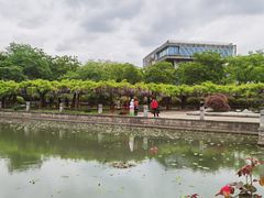-嘉定紫藤园