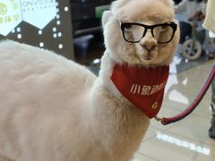 -CityOn熙地港（西安）购物中心