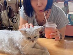 -小时光咖啡馆(开森度假森林店)