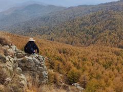 -苏木山森林公园