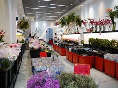 -溪岸路花鸟市场