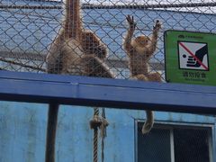 -大连森林动物园