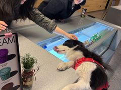 -山下C5cafe(惠通时代广场店)