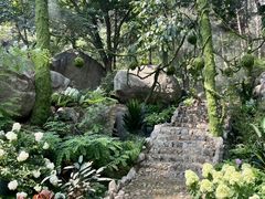-沂蒙山旅游区云蒙景区(蒙山国家森林公园)