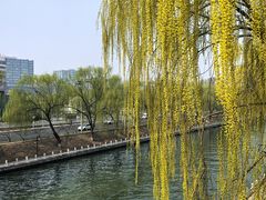 -北京英嘉国际影城(金源CINITY店)