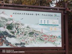 -北京鹫峰国家森林公园