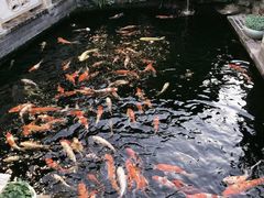 -顺德了能馆(虎门店)