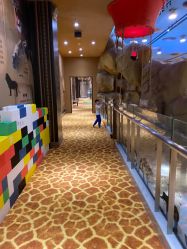 -卡通尼·Safari非洲探索乐园·生日会(金桥国际商业广场店)