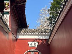 -长春观