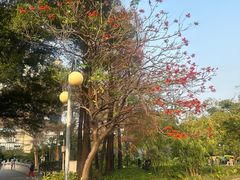 -晓港公园