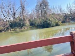 -上海滨江森林公园