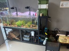-福州肆爪动物医院